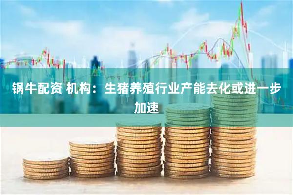 锅牛配资 机构：生猪养殖行业产能去化或进一步加速