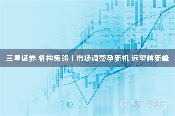 三星证券 机构策略丨市场调整孕新机 远望越新峰