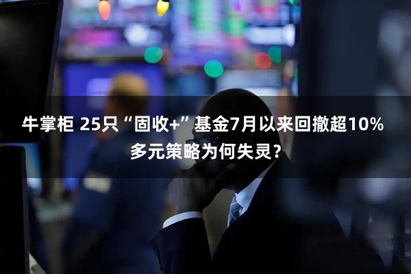 牛掌柜 25只“固收+”基金7月以来回撤超10% 多元策略为何失灵？